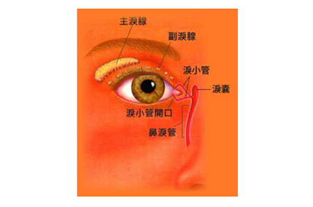 眼眶病,希瑪瑞視眼科,上海眼科醫(yī)院