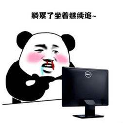 眼表眼角膜,?，斎鹨曆劭?上海眼科醫(yī)院