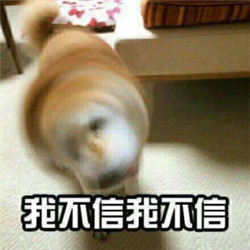 玻璃體視網(wǎng)膜,?，斎鹨曆劭?上海眼科醫(yī)院