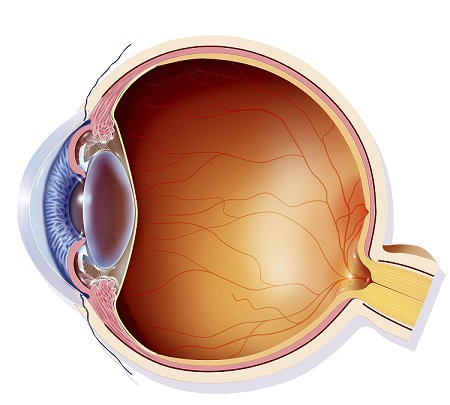 青光眼,?，斎鹨曆劭?上海眼科醫(yī)院