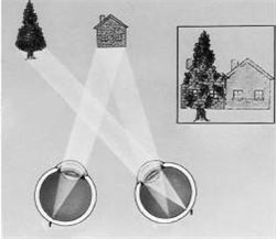 小兒眼病,?，斎鹨曆劭?上海眼科醫(yī)院