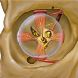 小兒眼病,?，斎鹨曆劭?上海眼科醫(yī)院
