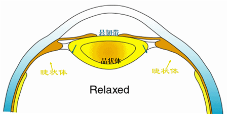 小兒眼病,?，斎鹨曆劭?上海眼科醫(yī)院