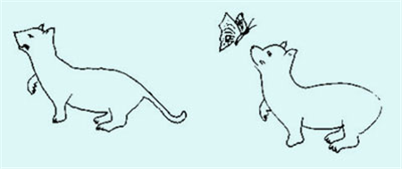 小兒眼病,?，斎鹨曆劭?上海眼科醫(yī)院