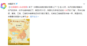 眼表眼角膜,?，斎鹨曆劭?上海眼科醫(yī)院