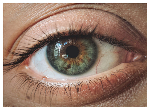 玻璃體視網(wǎng)膜,?，斎鹨曆劭?上海眼科醫(yī)院