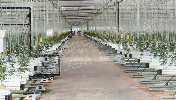 淺談種植槽定期檢查的重要性